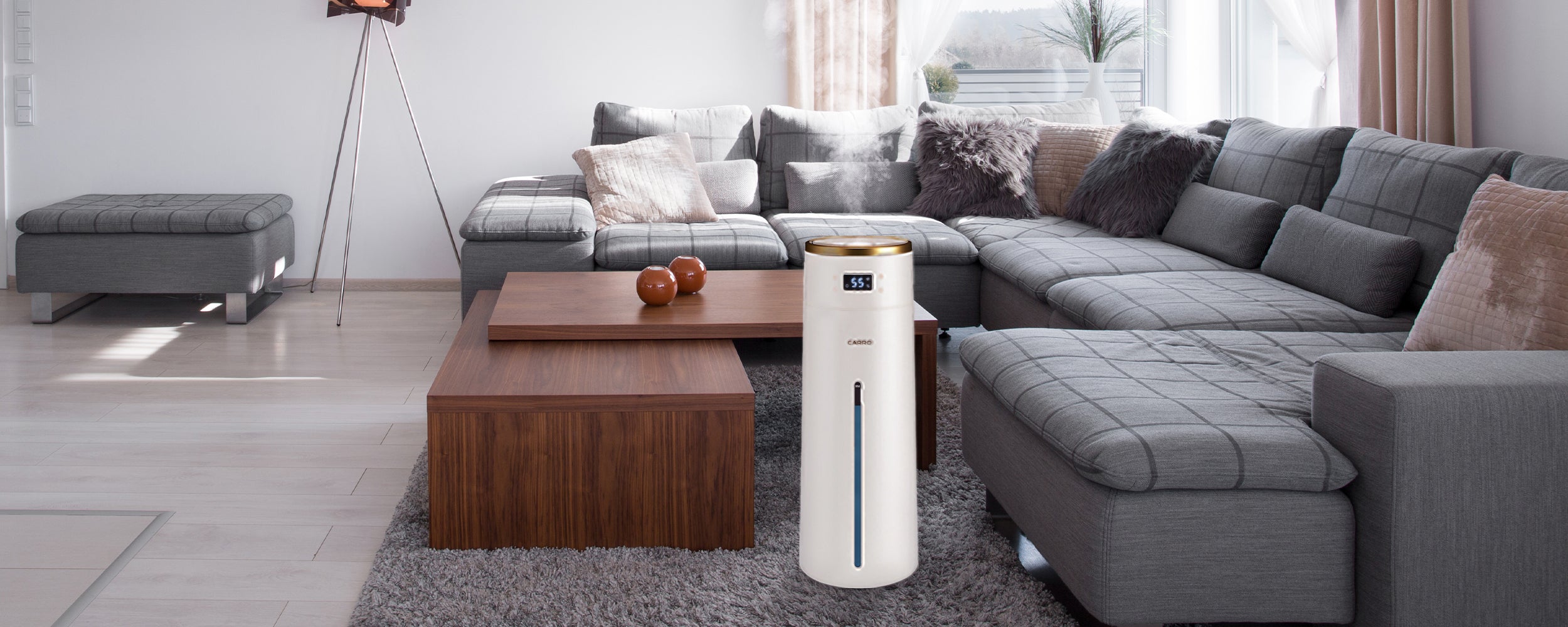 Where To Put a Humidifier (Living Room, Bedroom)