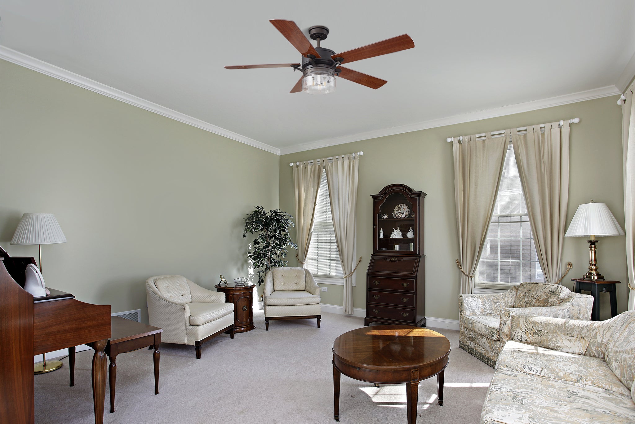 Smart Ceiling Fans with Lights