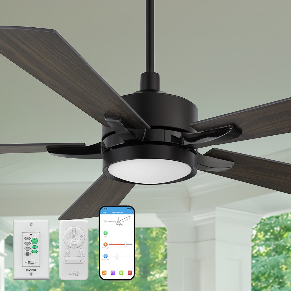 The Smafan Apex 56&