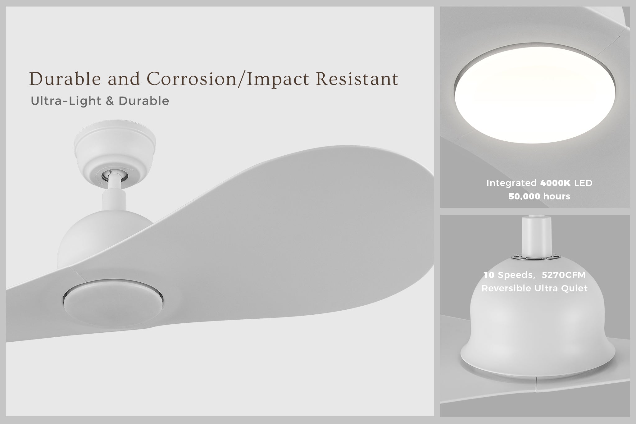 Azure DC motor ceiling fan with LED light and 10-speed setting, designed for durability and corrosion resistance.