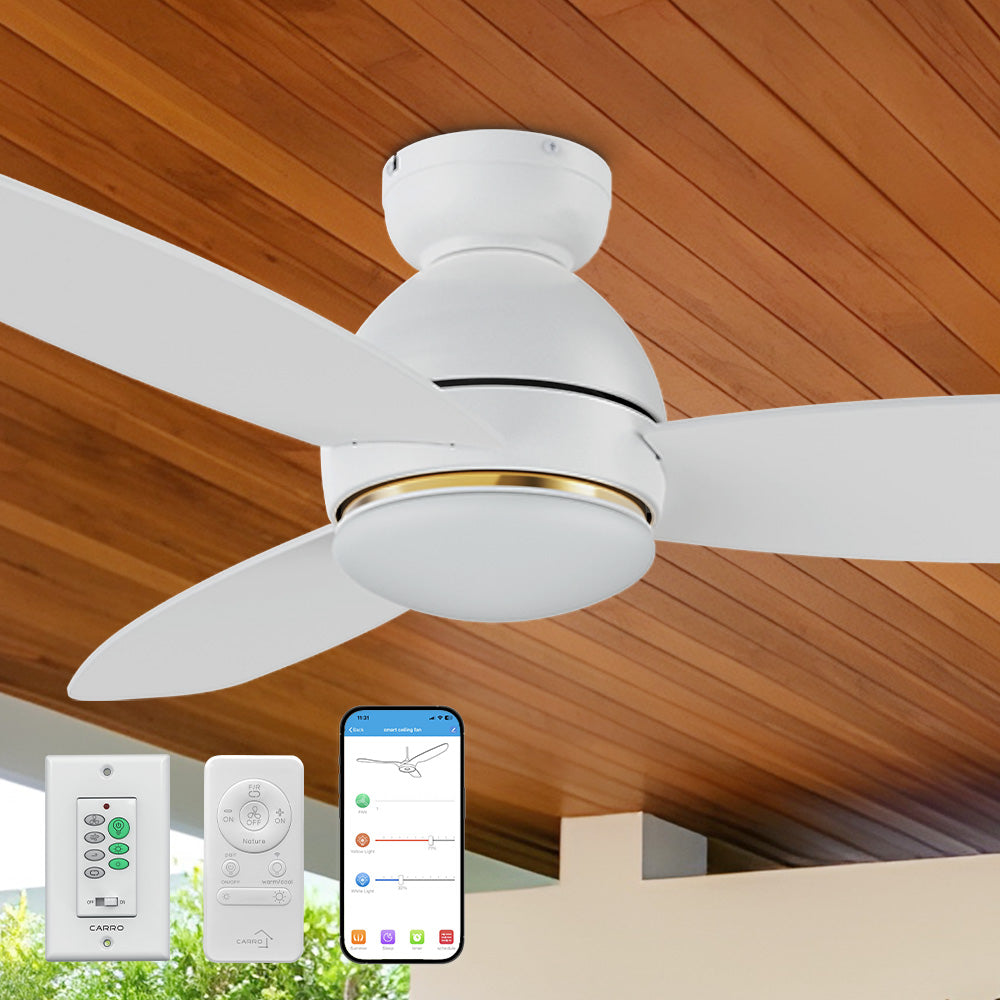 An image of a Smafan Carro 48-inch Smart Ceiling Fan with LED light, featuring white blades with gold accents, mounted on a beige ceiling with decorative molding for efficient airflow and cooling. The ceiling fan is shown with a Carro white wall switch, a handheld remote, and a smartphone displaying a control app, highlighting smart operation for customizable lighting and cooling in indoor settings.