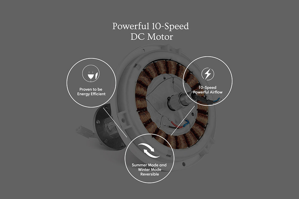 Carro-Smafan--Indoor-Outdoor-Bright-Smart-Ceiling-Fan-with-remote-10-speed-DC-motor