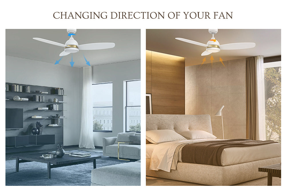 Carro-Smafan-Biscay-48''-Modern-smart-Ceiling-Fan-with-Dimmable-LED-Light-Kit-Reversible-Season-Mode