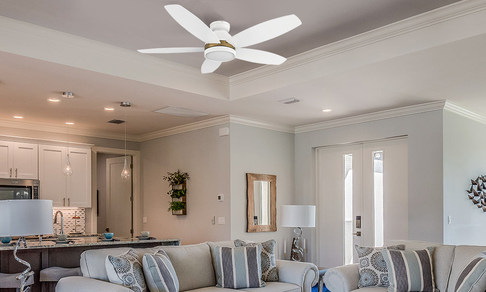 Carro-Smafan-Povjeta-48-inch-Remote-Ceiling-Fan-Light-Kit Included