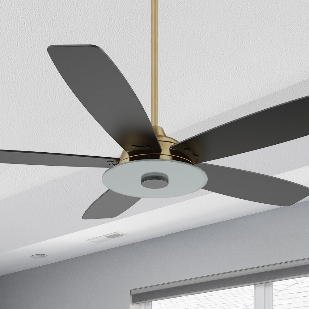 Carro Striker 56 inch outdoor smart ceiling fan with LED light kit, gold base with black blades.