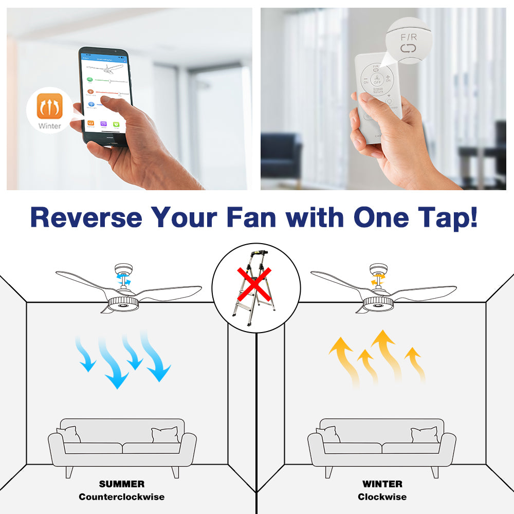 Smart ceiling fan with light and remote, featuring summer and winter mode. Illustration shows counterclockwise airflow for cooling in summer and clockwise airflow for warmth in winter, with easy reverse function via app, remote.