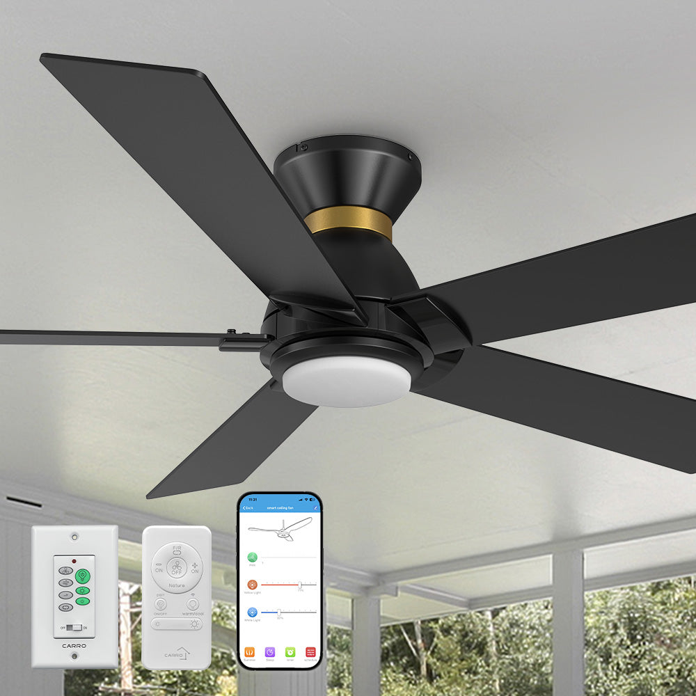 Carro Aspen 52 inch flush mount outdoor ceiling fan with light designed with a remote and wall switch.