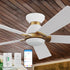 An image of a Carro smart ceiling fan with LED light, featuring white blades and gold accents, mounted on a beige ceiling for efficient airflow and cooling. The ceiling fan is shown with a Carro remote control and a Carro white wall switch, wireless smart operation, compatible with Alexa, ideal for modern indoor settings.