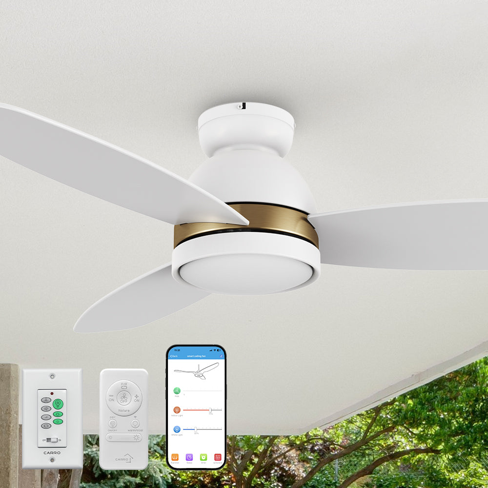 Biscay Ⅱ Low Profile Smart Fan with LED Light Remote Outdoor/indoor 48 inch, featuring with remote and wall switch.