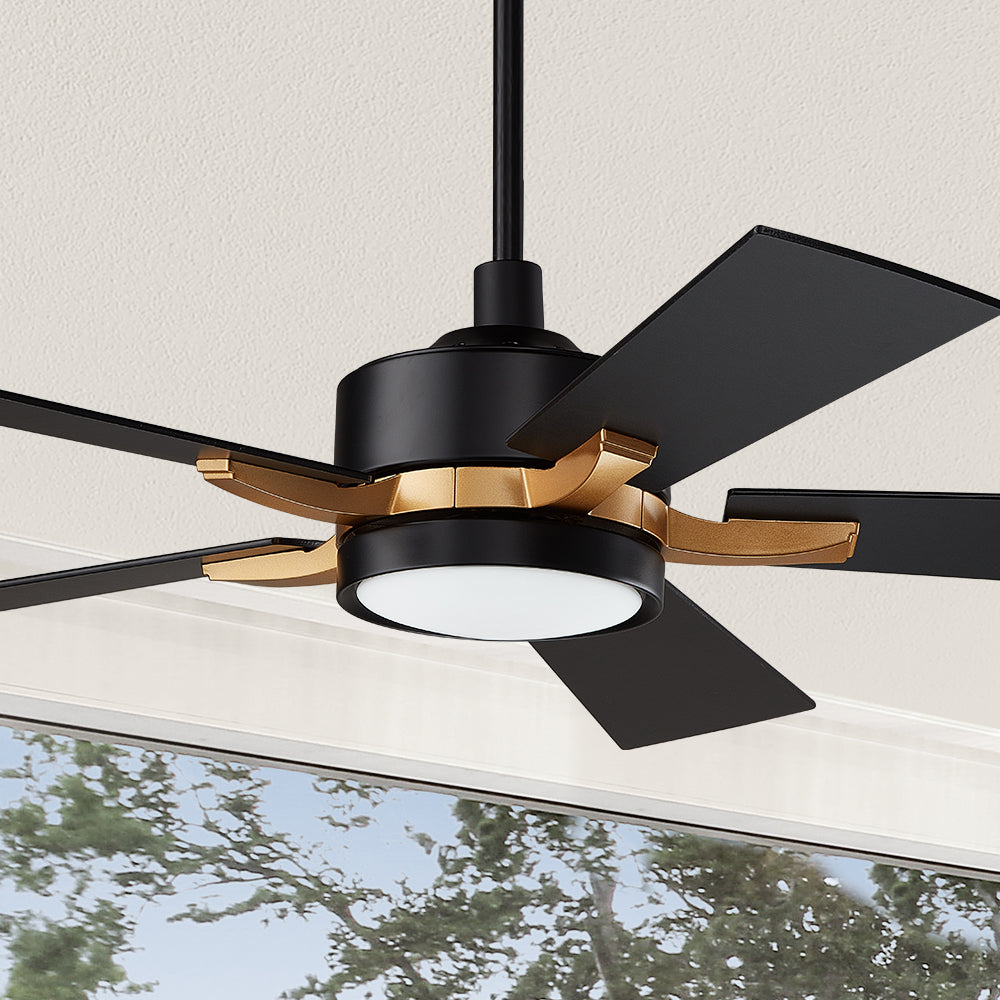 Smafan Apex 56 inch smart outdoor ceiling fans design with Black and gold finish, use elegant Plywood blades and has an integrated 4000K LED daylight.