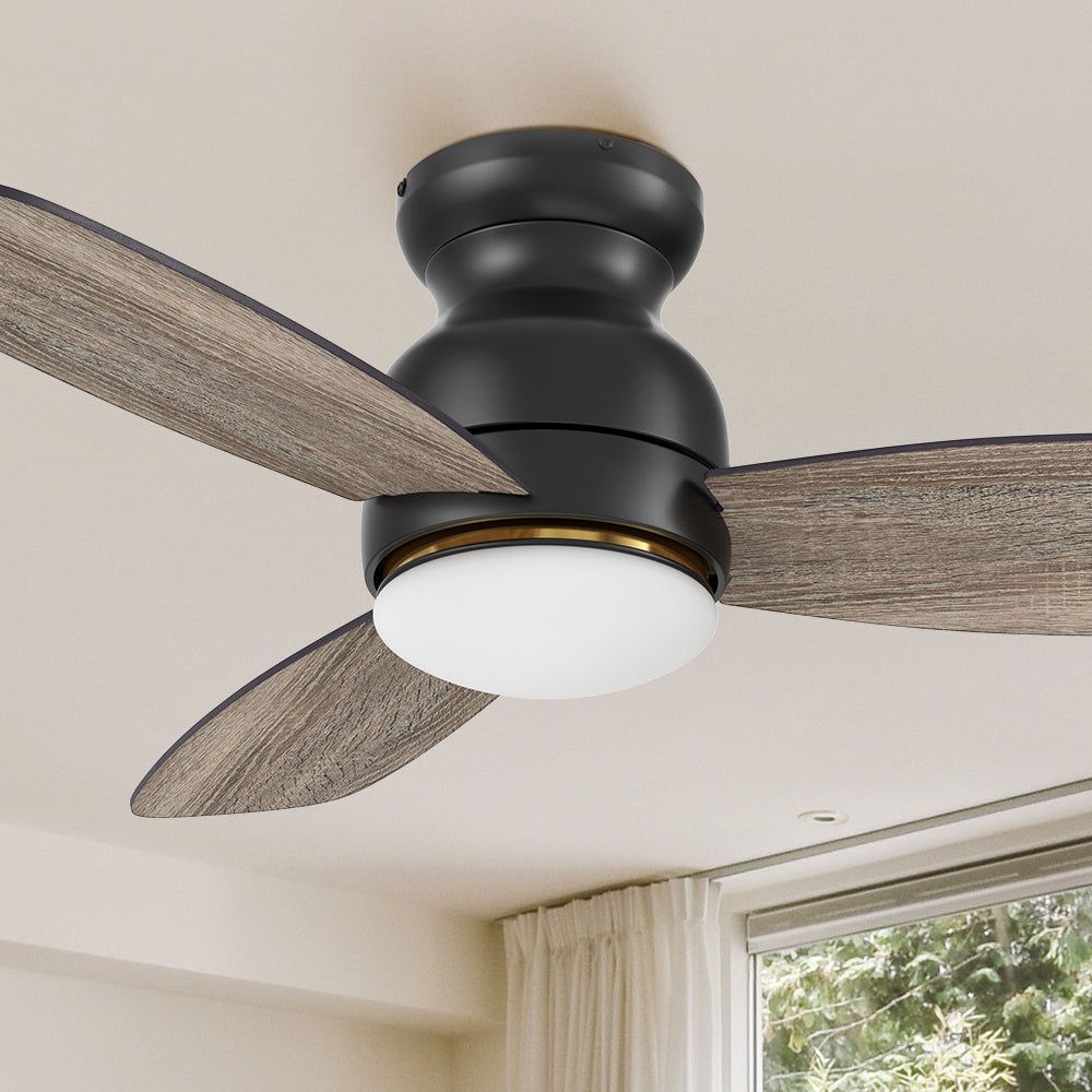 Carro Arran 48 inch modern ceiling fan with lights, a sleek silhouette, elegant blades, and a timeless black finish.