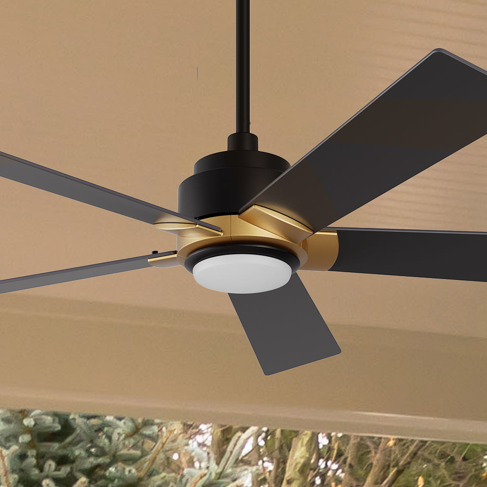 Carro Aspen outdoor ceiling fan with 5 black blades and an extended 6-in rod, Installed in the indoor living space.