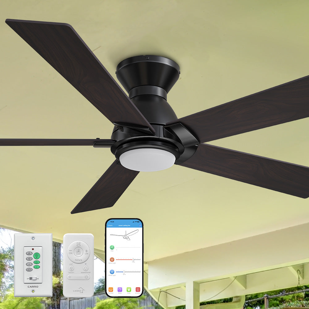 Carro Aspen 52 inch flush mount outdoor ceiling fan with light designed with a remote and wall switch.