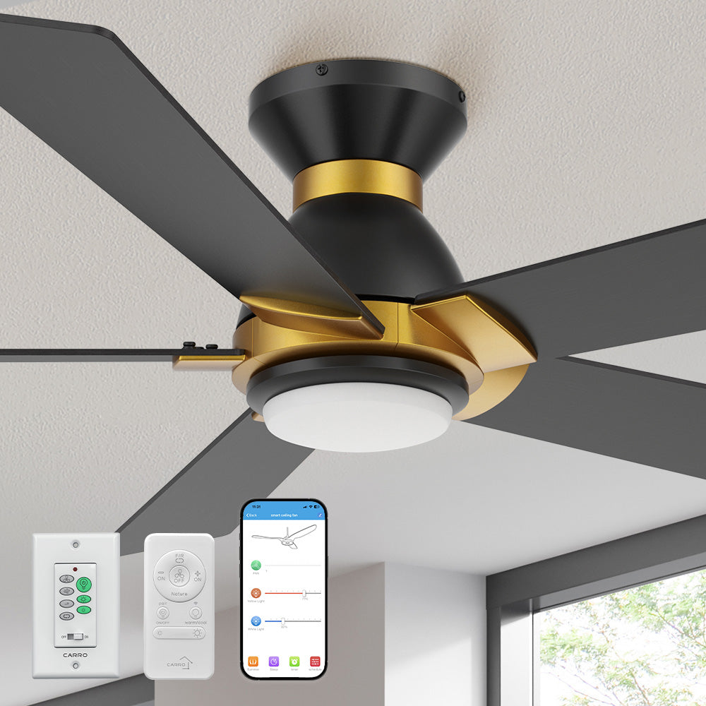 Carro Aspen 52-inch black and gold flush mount smart ceiling fan with light, featuring a silent DC motor, smart app, remote, and wall control. Shown in a modern living room closed view with warm ambient lighting.