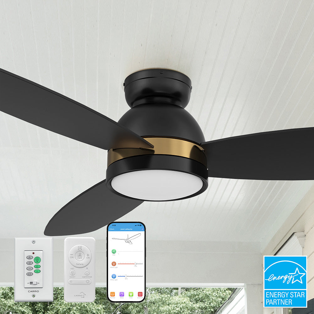 Carro Biscay 52-inch Energy Star certified smart outdoor ceiling fan in black-gold finish with plywood blades - features cool white tone LED daylight, smartphone app, remote & wall control for complete lighting and airflow management.