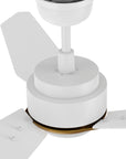 Bryza 44 inch Remote Ceiling Fan with Light Kit