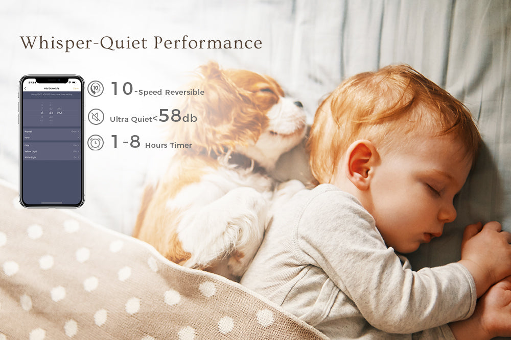 Smafan-Carro-Coleman-52-inch-Outdoor-Alexa-Fan-dimmable-light-reversible-whisper-quiet-dc-motor