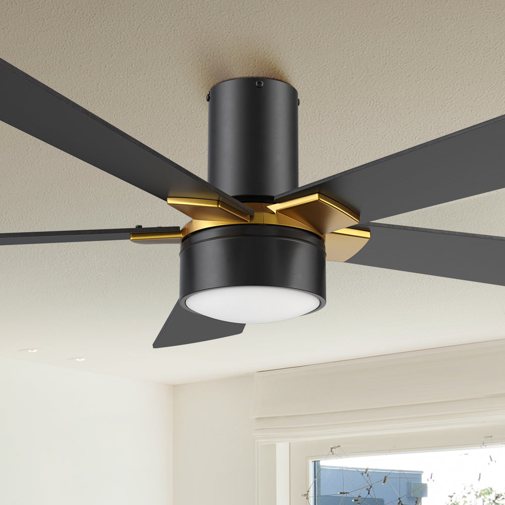 Carro Duluth 52 inch smart ceiling fan with Black and gold finish, elegant Plywood blades and integrated 4000K LED cool light.