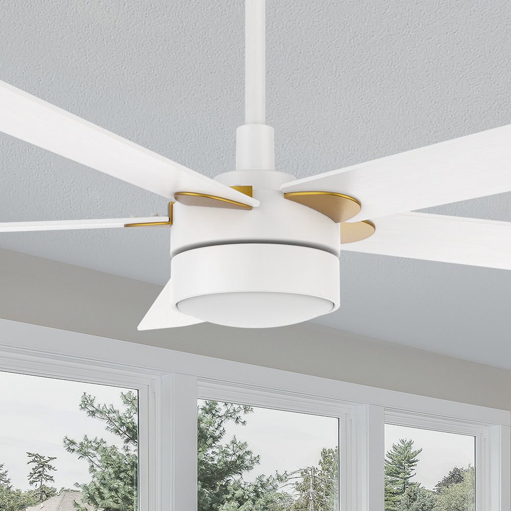 Carro Granby 52 inch smart outdoor ceiling fan with light, white and gold finish, elegant plywood blades and has an integrated 4000K LED daylight.