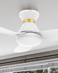 Carro Joliet smart ceiling fan with 3 blades and a 45-inch blade sweep with a swift modern appearance.