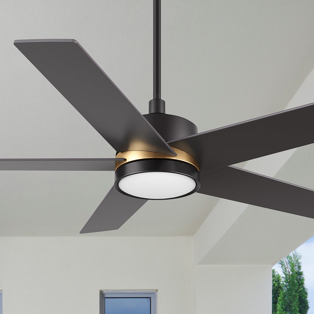 Carro Lakeland 52 inch smart ceiling fan with light, design with black finish, elegant plywood blades and an integrated 4000K LED cool light.