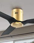 Carro Modena 52 inch ceiling fan simplicity designing with black and gold finish, use very strong ABS blades.