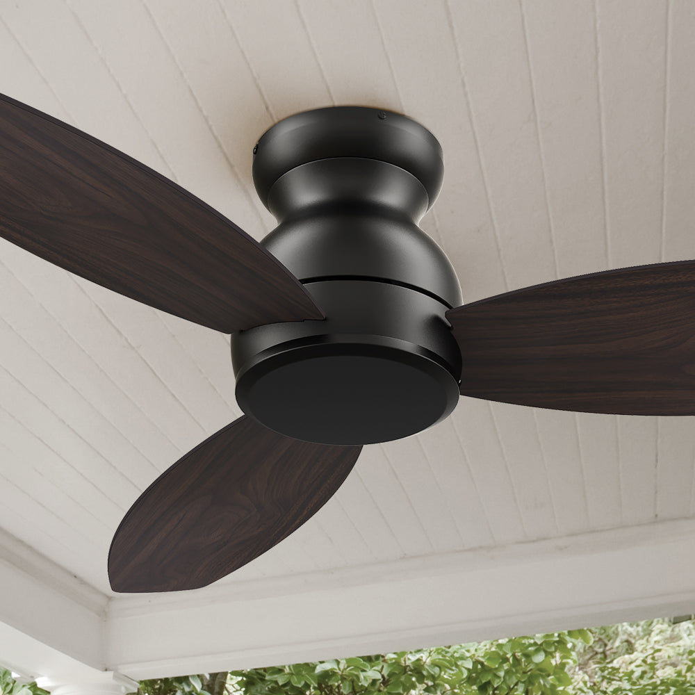 Carro Osborn 48 inch ceiling fan designed with Black finish, use elegant Plywood blades. The fan features remote control.
