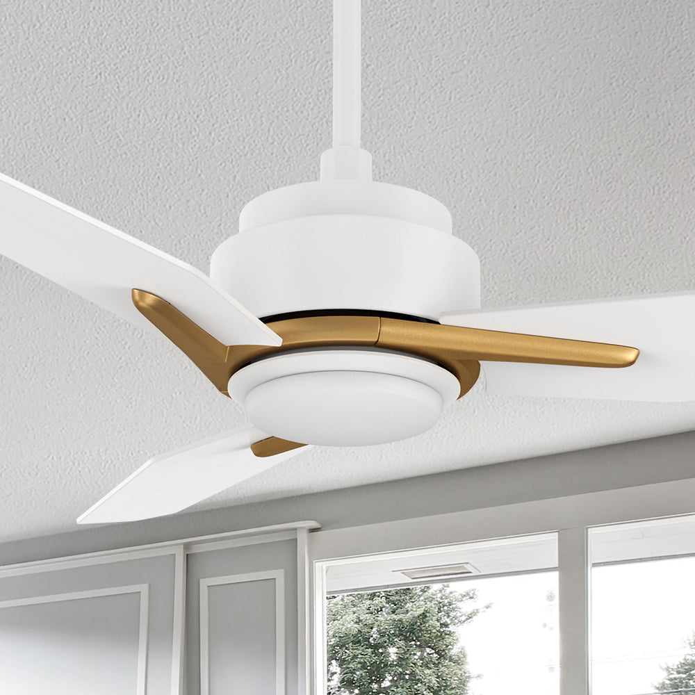 Carro Tilbury 48 inch smart outdoor ceiling fan with white and gold finish, use elegant plywood blades and integrated 4000K LED cool light.