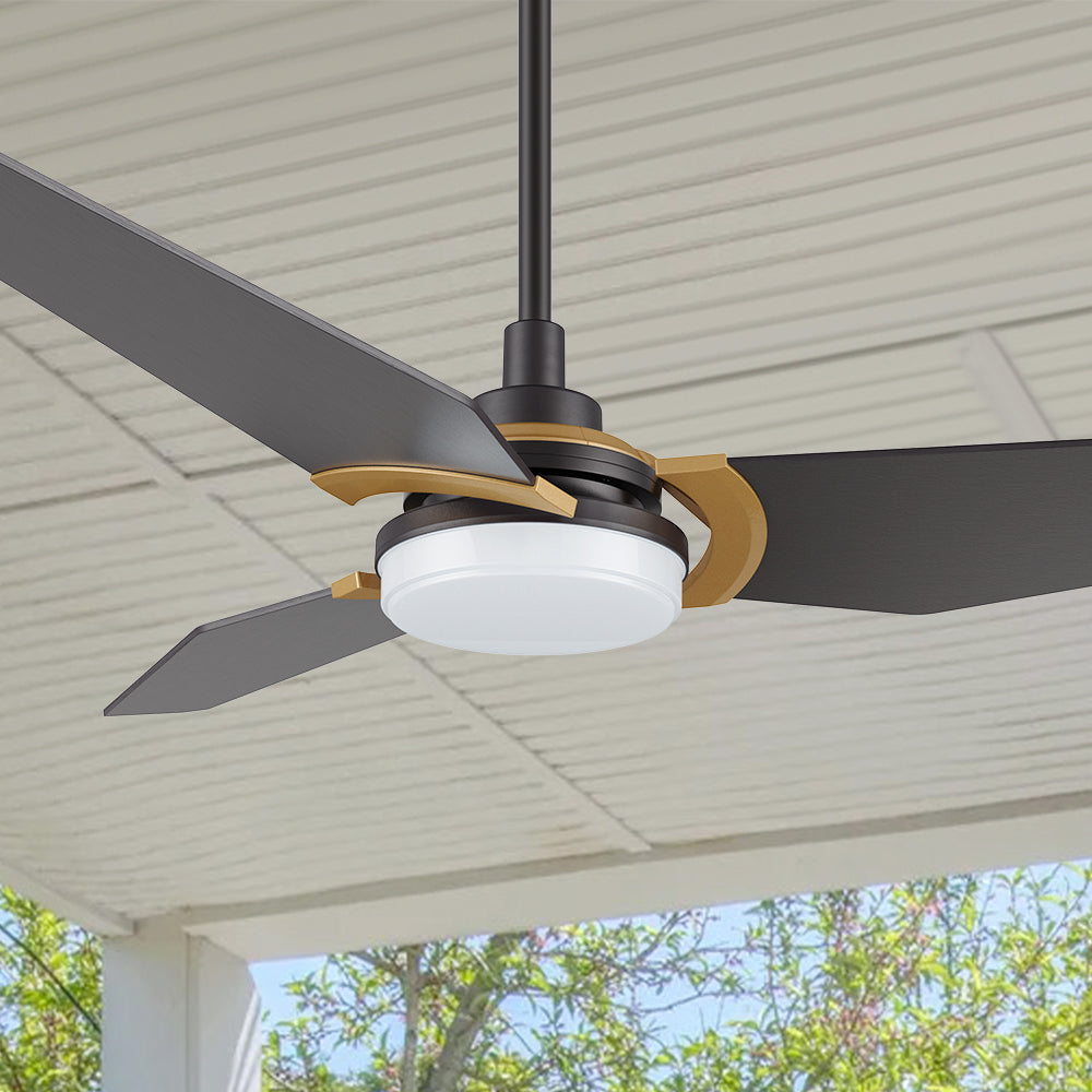 The Smafan Trailblazer 56&