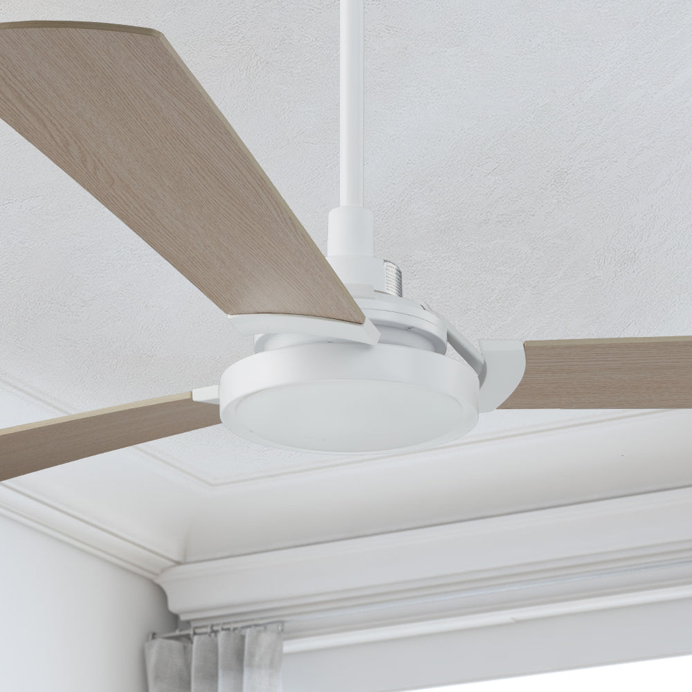Carro Viter smart ceiling fan with light designed with light wood finish, elegant Plywood blades, Glass shade and integrated 4000K LED daylight.