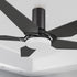 Carro Voyager 52 inch smart ceiling fan designed with black finish, elegant Plywood blades, Glass shade and integrated 4000K LED cool light.