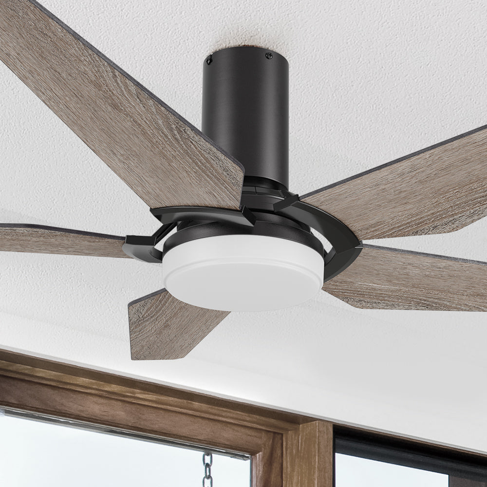 Carro Voyager 52 inch smart ceiling fan designed with wood finish, elegant Plywood blades, Glass shade and integrated 4000K LED cool light.