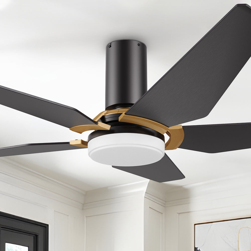 Carro Voyager 52 inch smart ceiling fan designed with Black finish, elegant Plywood blades, Glass shade and integrated 4000K LED cool light.