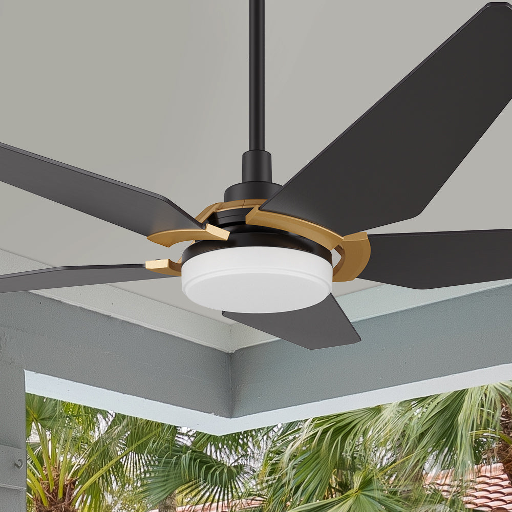 Smafan Voyager 52 inch smart ceiling fan designs with black and gold finish, elegant plywood blades, glass shade and has an integrated 4000K LED daylight.