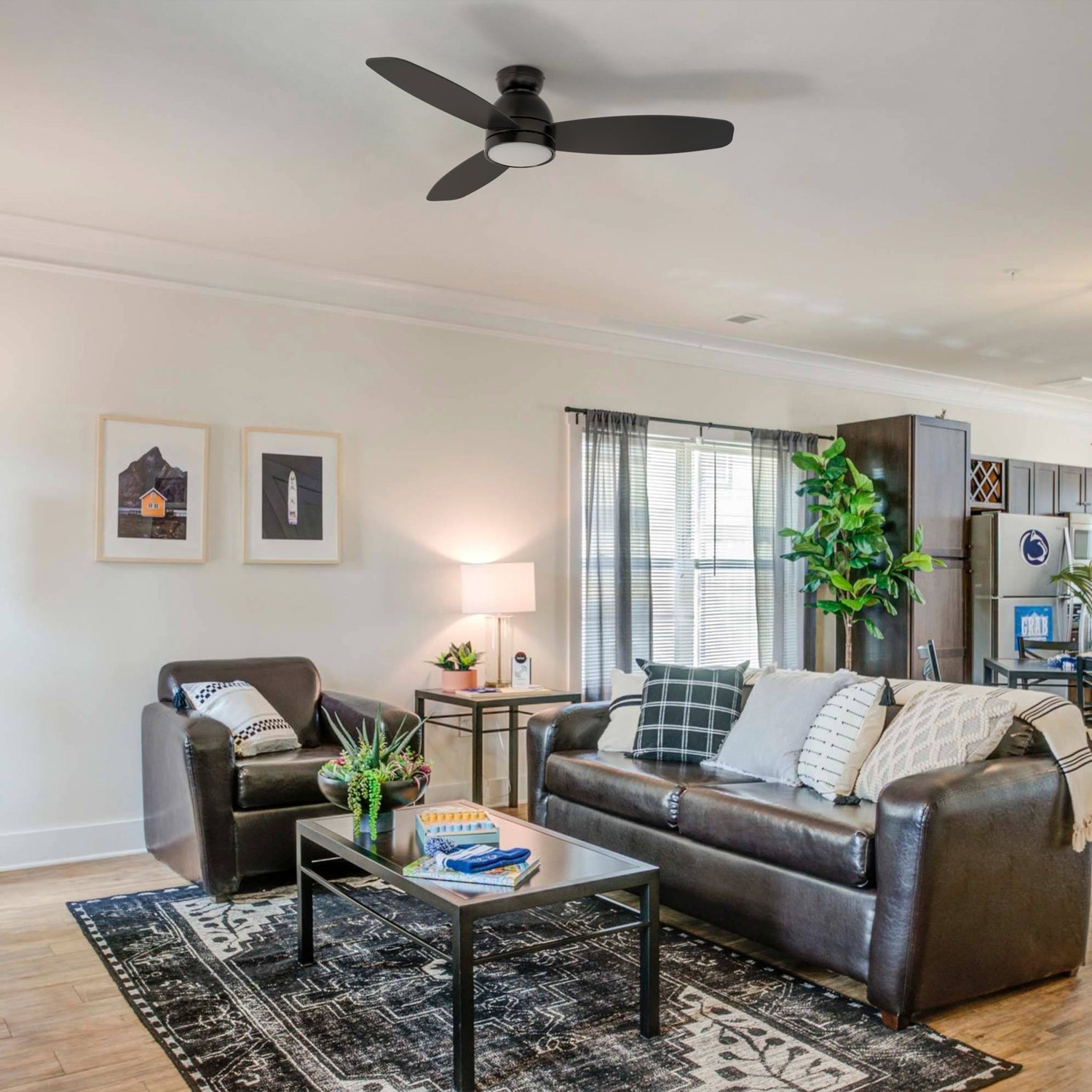 A modern living room featuring 52-inch black, flush mount ceiling fan with a light, showcasing its smart and modern design. The room also contains dark leather seating, a coffee table, and decorative elements.