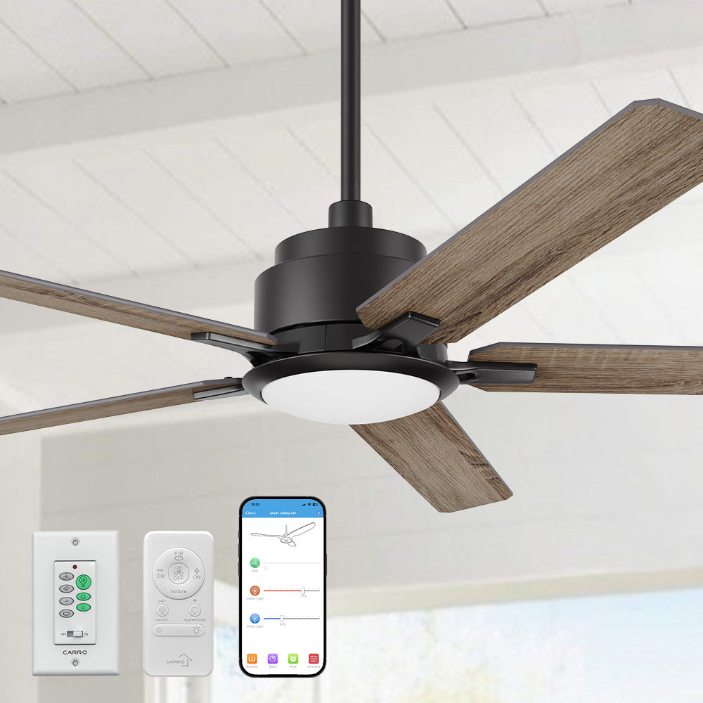 Front view of the Smafan Essex II 56-inch smart ceiling fan in Walnut finish, installed indoors with a smartphone and remote control displayed nearby, emphasizing the fan&