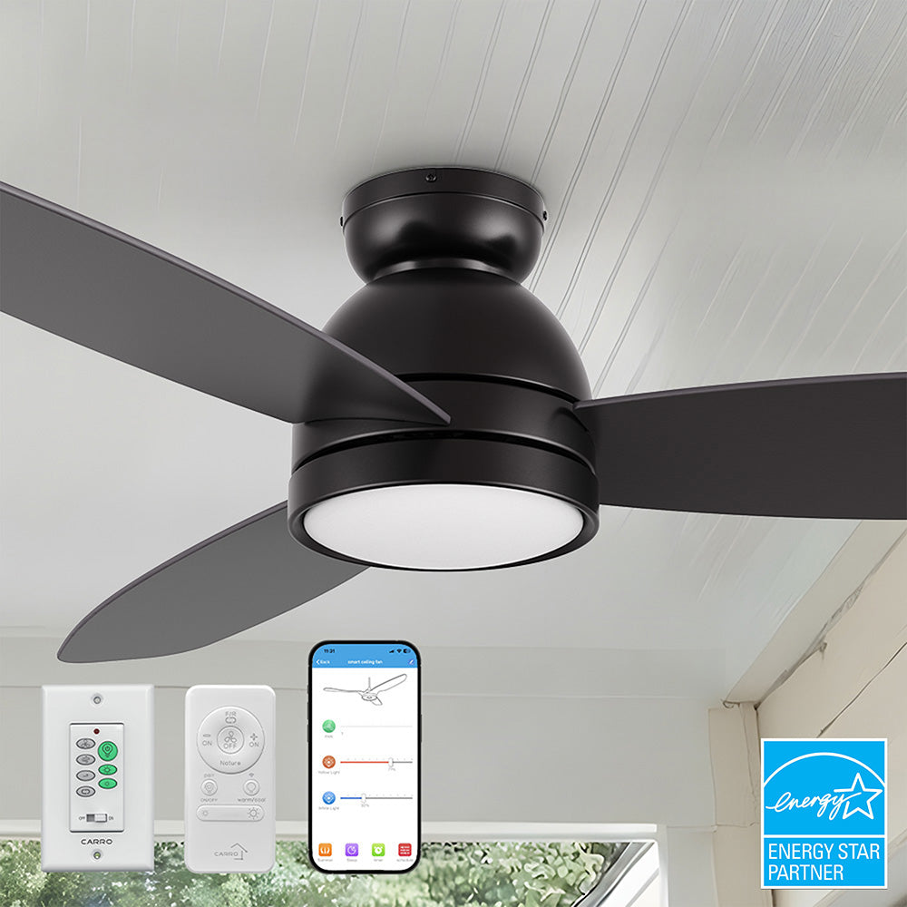Carro Biscay 52-inch Energy Star certified smart outdoor ceiling fan in black finish with plywood blades - features cool white tone LED daylight, smartphone app, remote & wall control for complete lighting and airflow management.