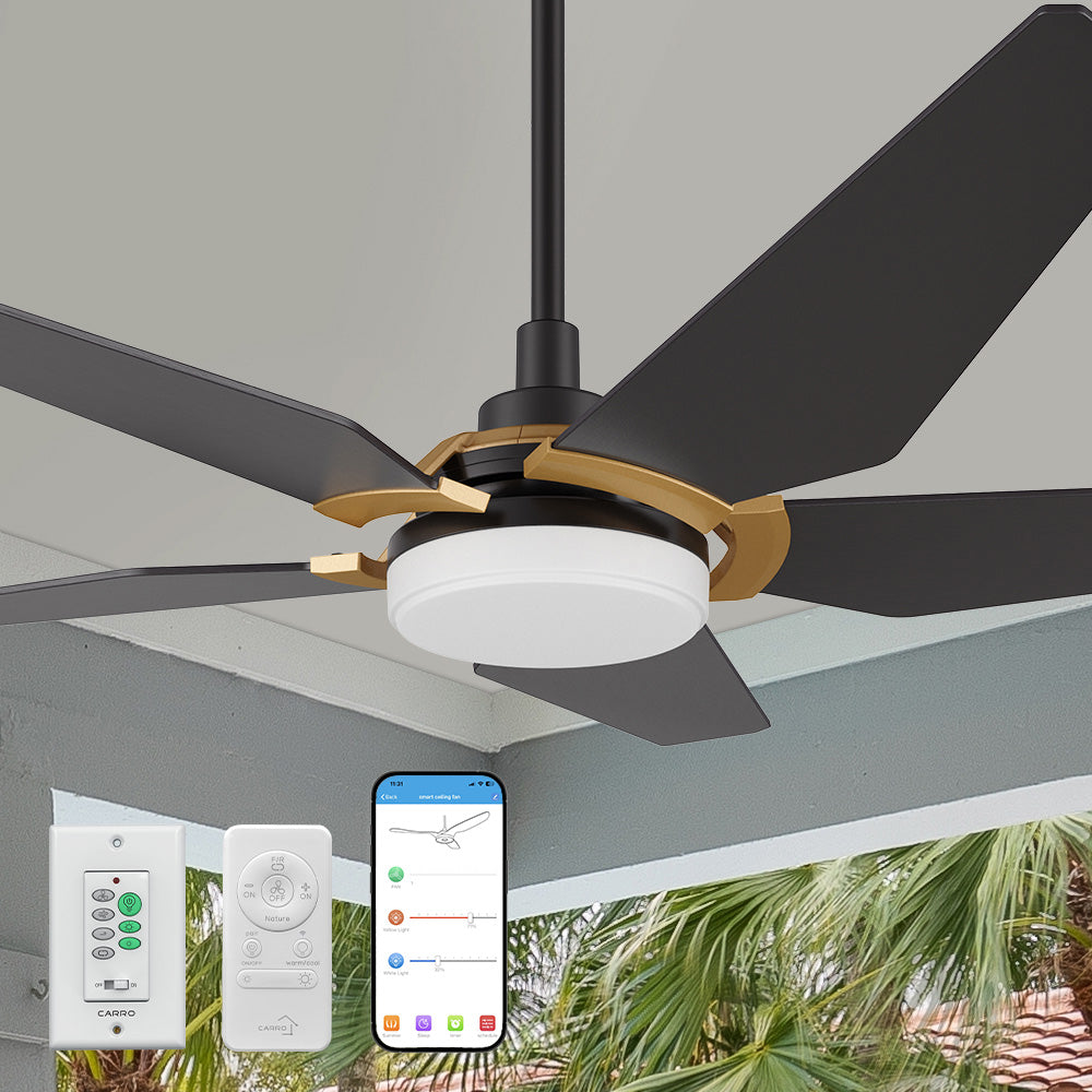 Smafan Voyager2 52 inch smart ceiling fan designs with black and gold finish, elegant plywood blades, glass shade and has an integrated 4000K LED daylight.