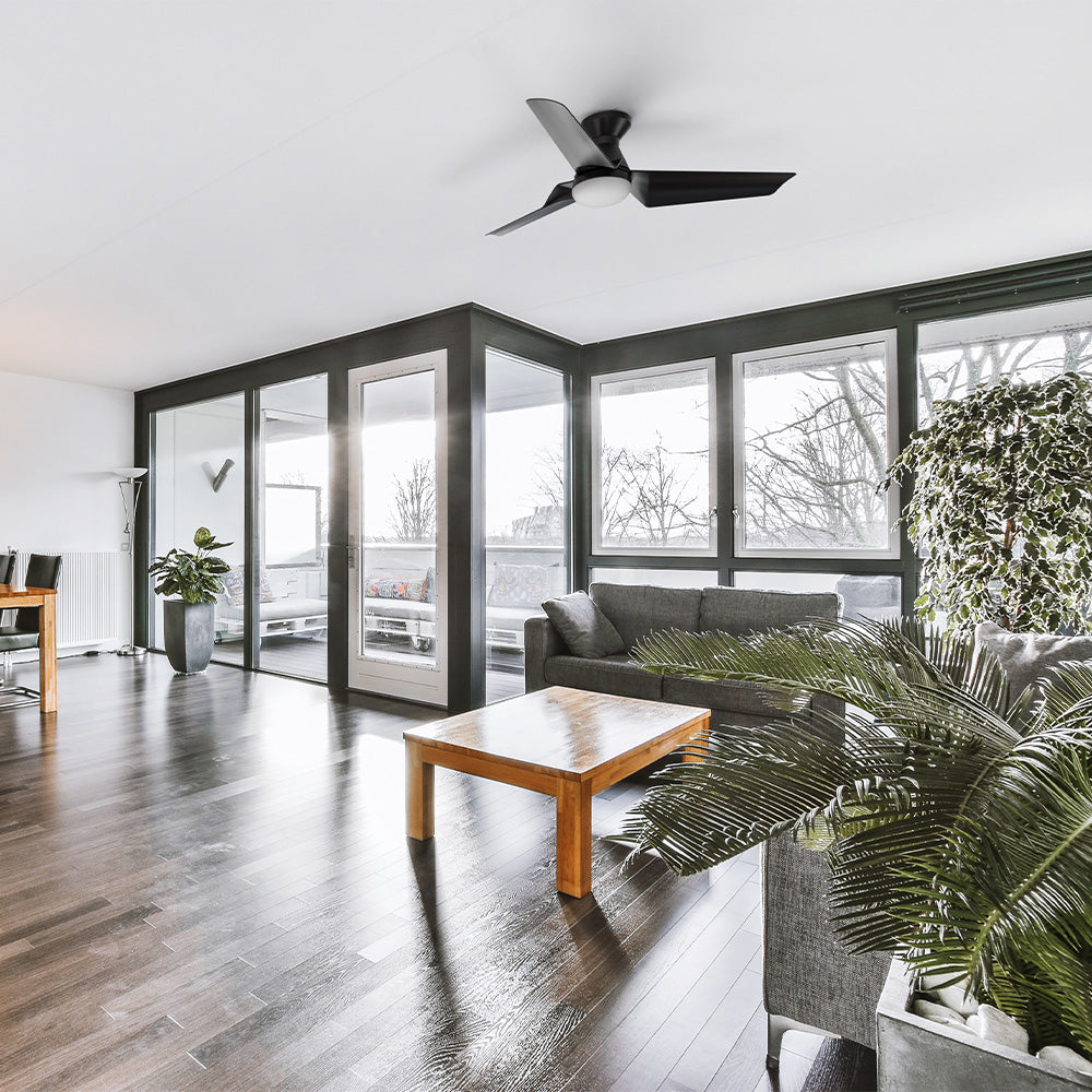 Black three-blade ceiling fan with light in a modern open-plan living room with dark wood floors and indoor plants.