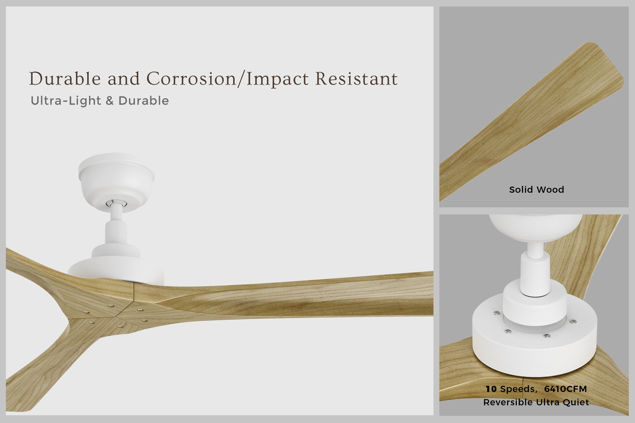 Thora farmhouse ceiling fan with a white motor and durable solid wood blades, highlighting corrosion-resistant and impact-resistant features for long-lasting performance.