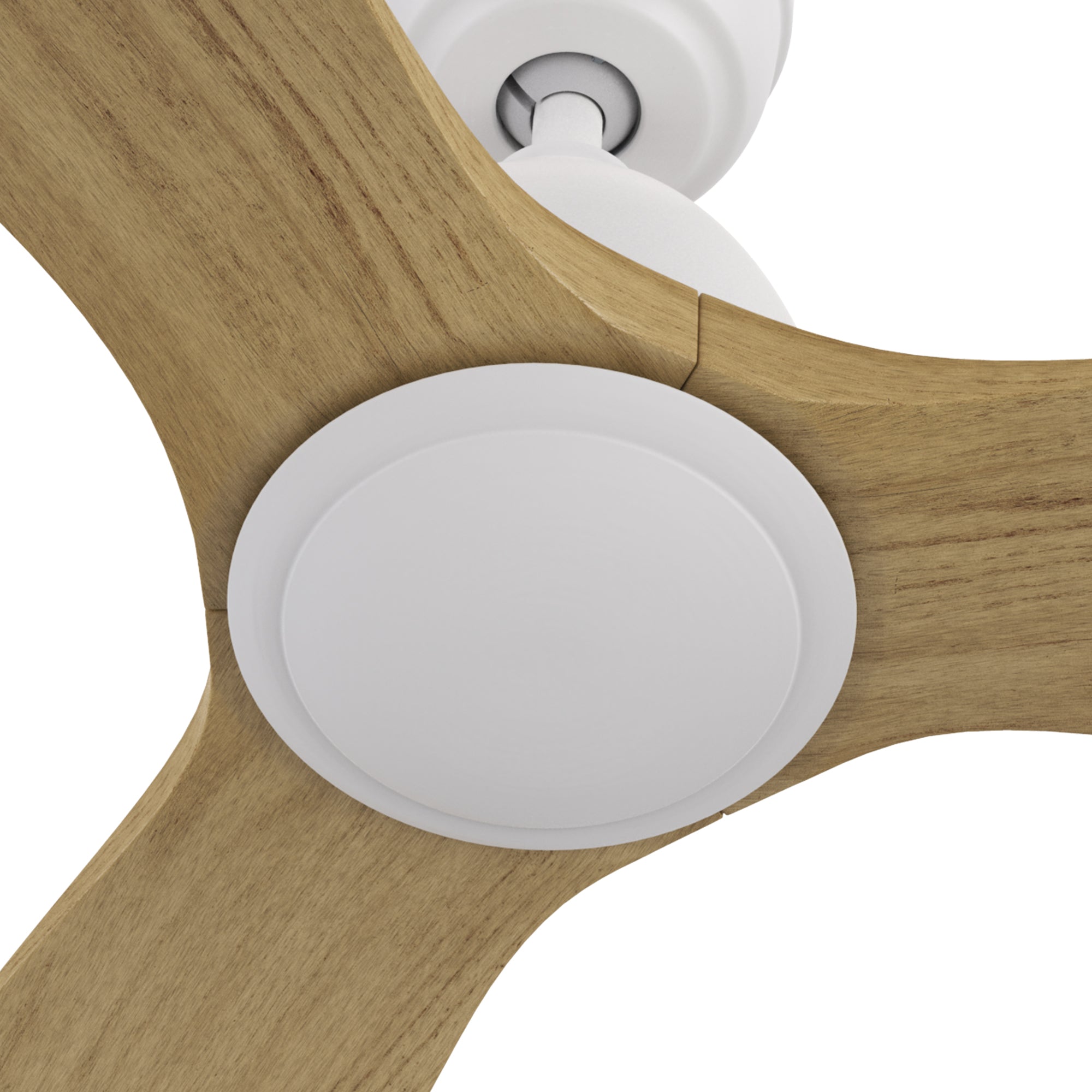 Close-up view of the Zircon ceiling fan, highlighting its white motor housing and seamlessly integrated mounting system. The natural oak-finished blades complement the modern aesthetic.