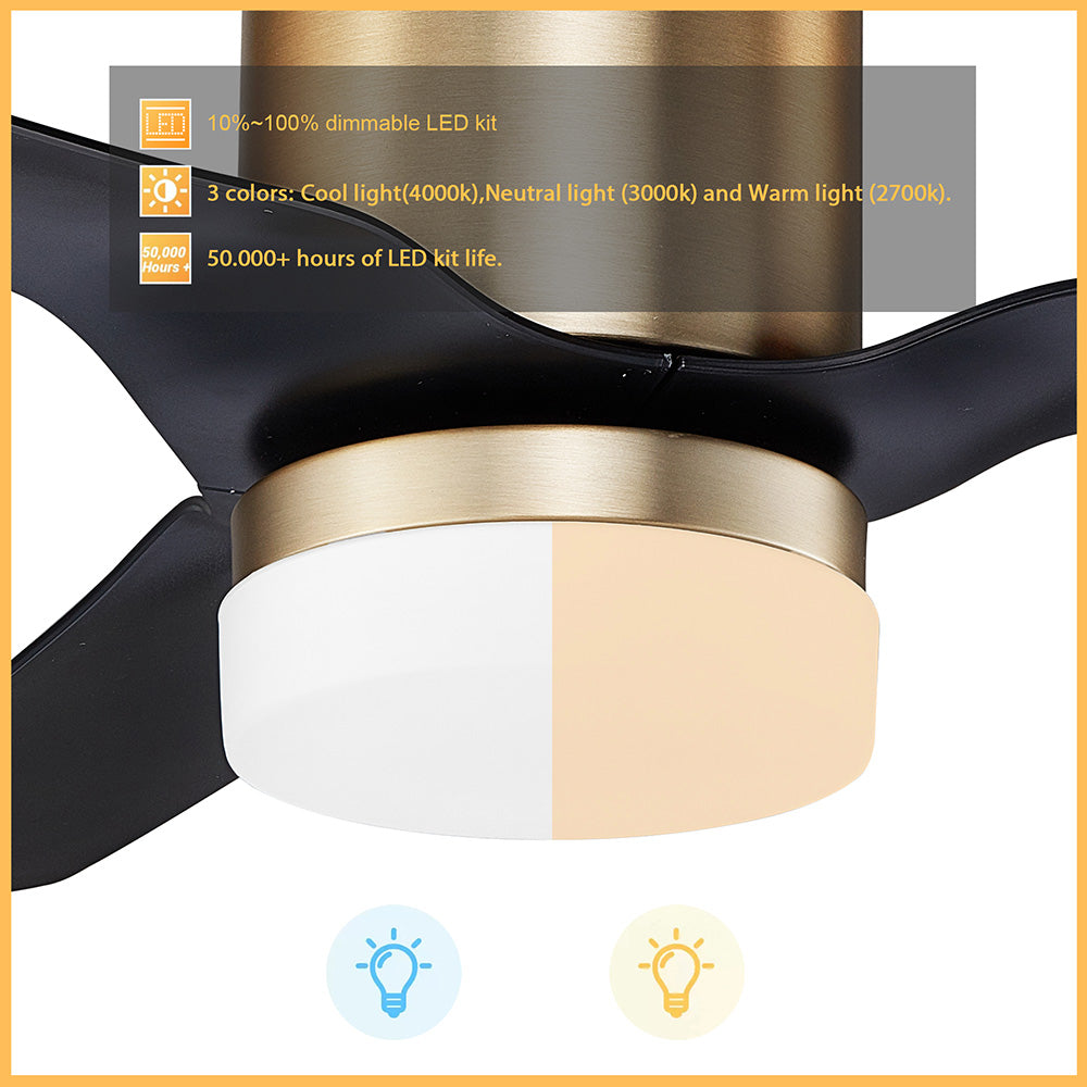 The Smafan Striver 52&