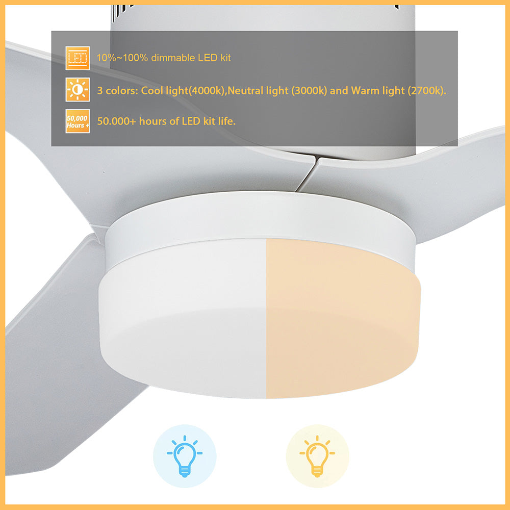 This Smafan Striver 52&
