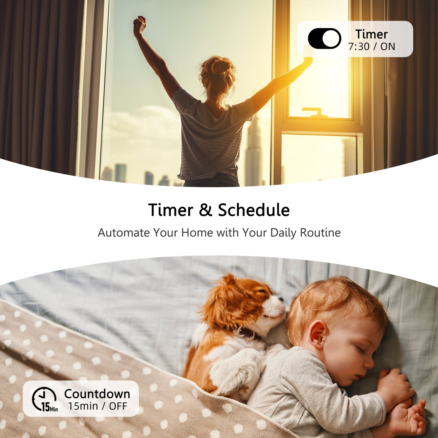 Carro Home Smart Switch for ceiling fans_1 Gang