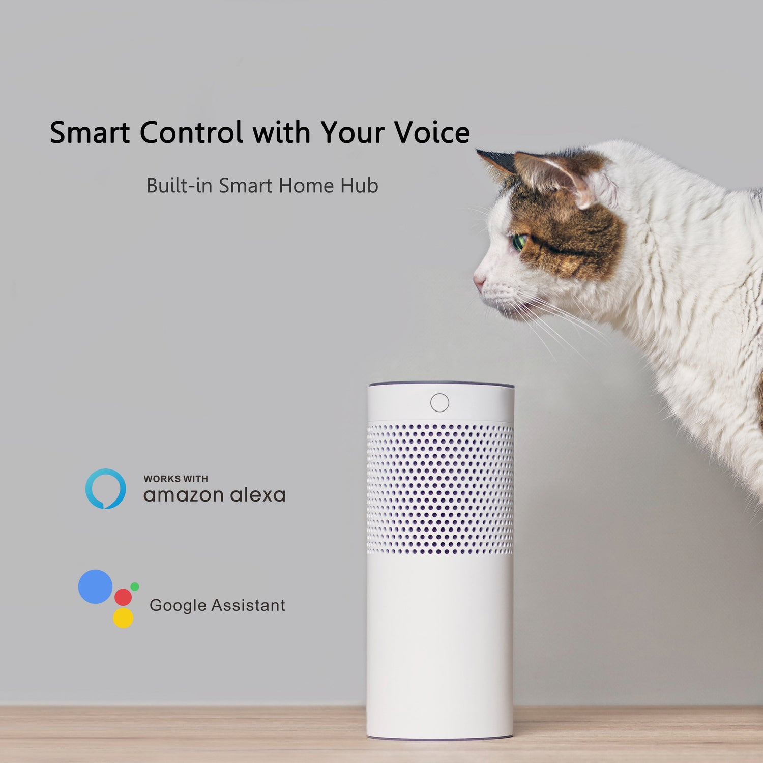 Carro Home Smart Wall Switch Controller For Ceiling Fans (1 Gang)