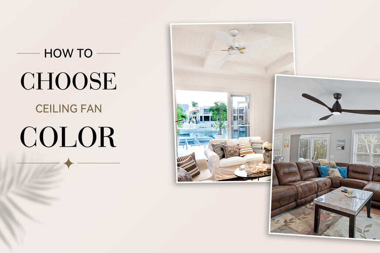 How to Choose the Perfect Ceiling Fan Color for Any Room