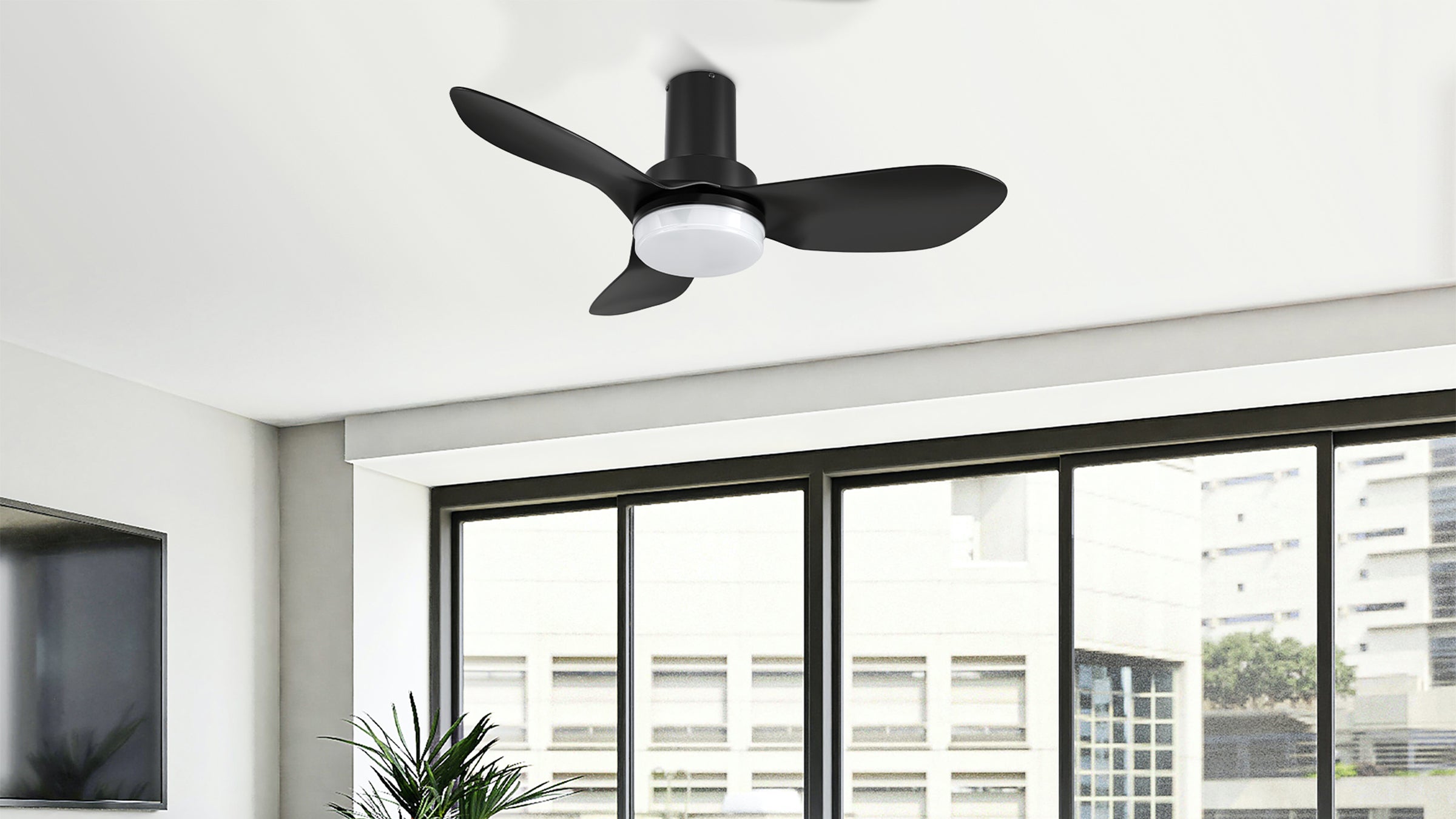 36 Inch Ceiling Fans