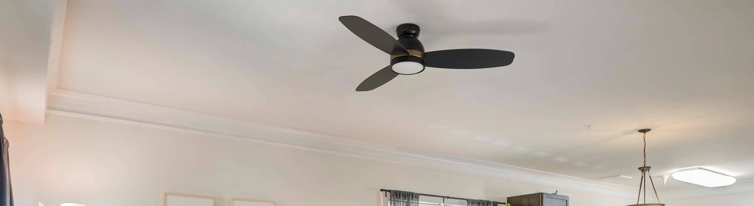 Contemporary Modern Ceiling Fans