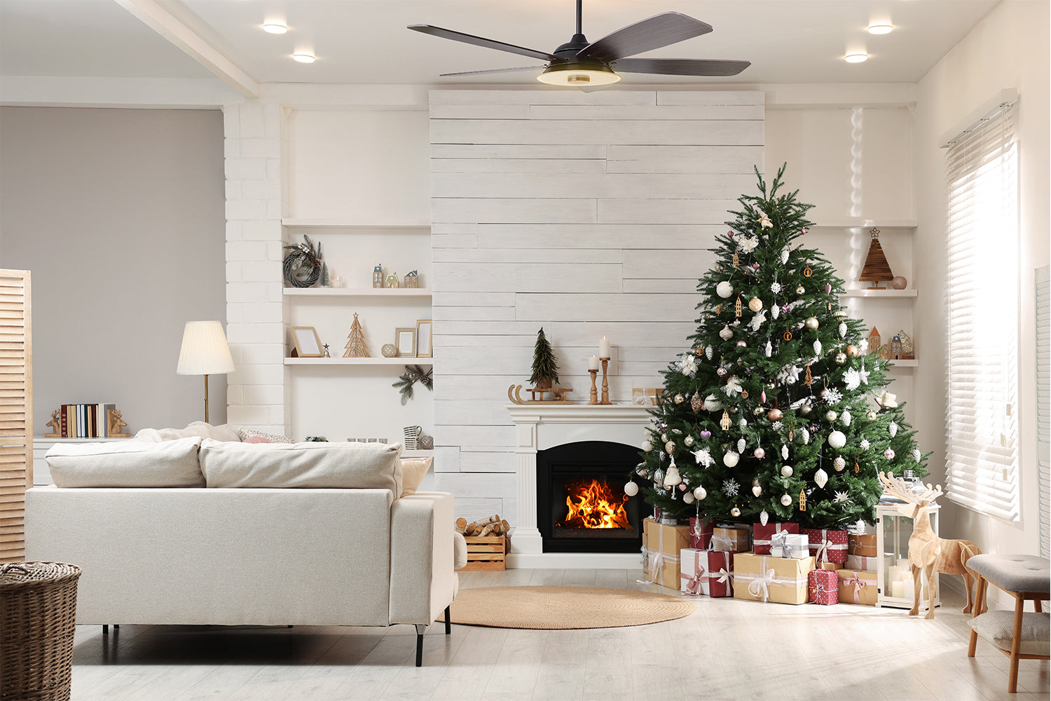 Christmas Limited-time Offer