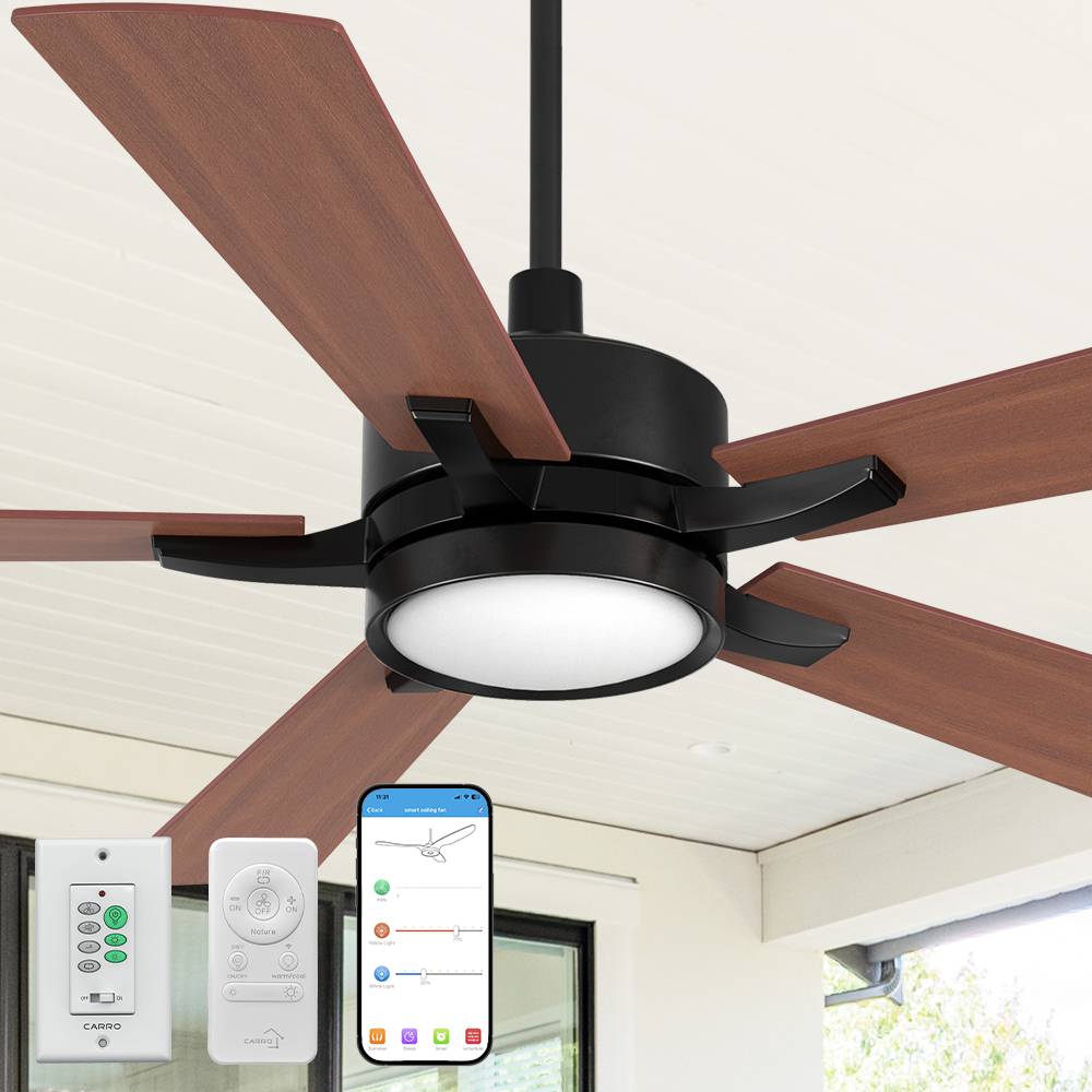 The Smafan Apex 56&